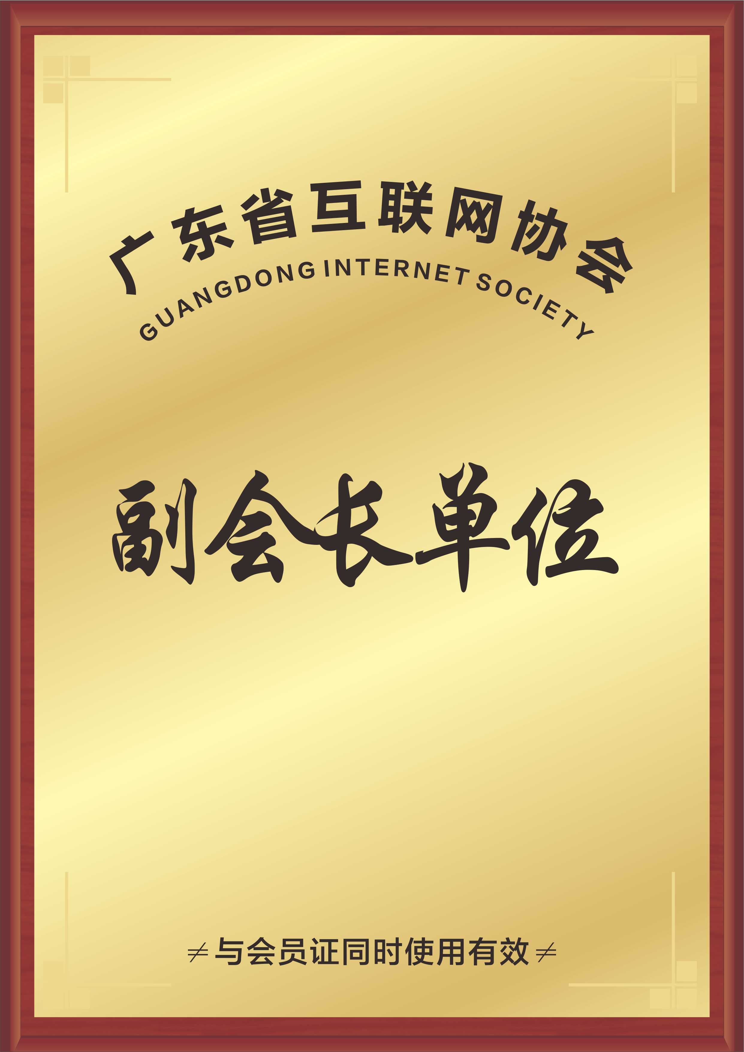 广东省互联网协会副会长单位.jpg